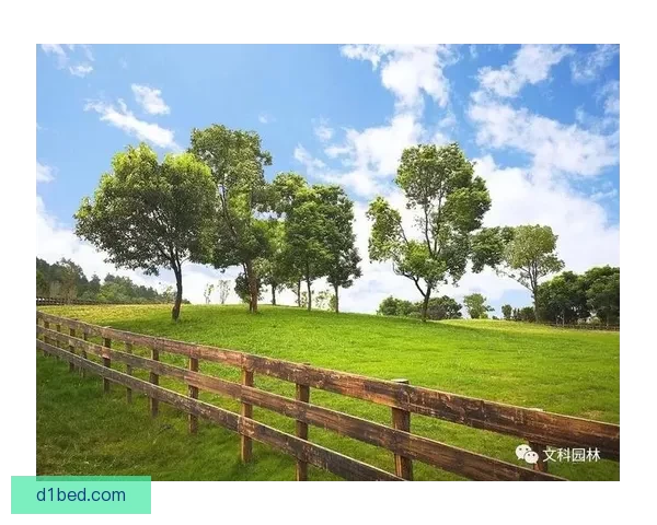 农夫导：探寻田园生活的别样智慧